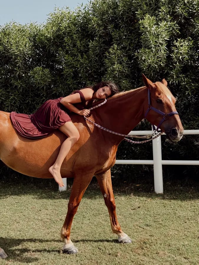 Personal portrait session with horses