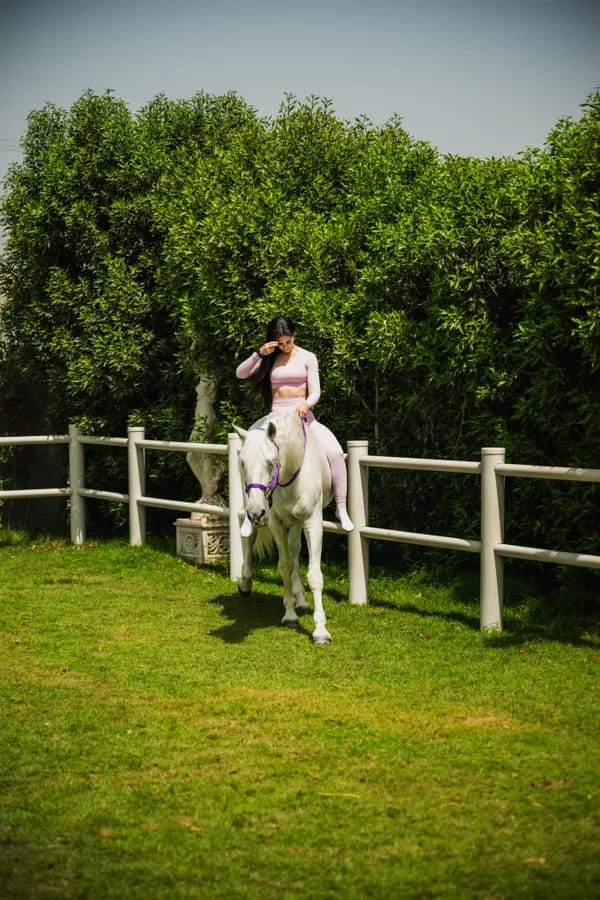 Wide paddock view of brand photoshoot at Crystalline Equine Dubai